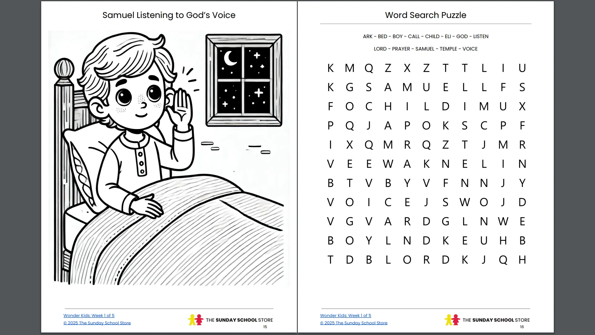 Wonder Kids: 5-Week Children's Ministry Curriculum (ages 6-12) - Image 7